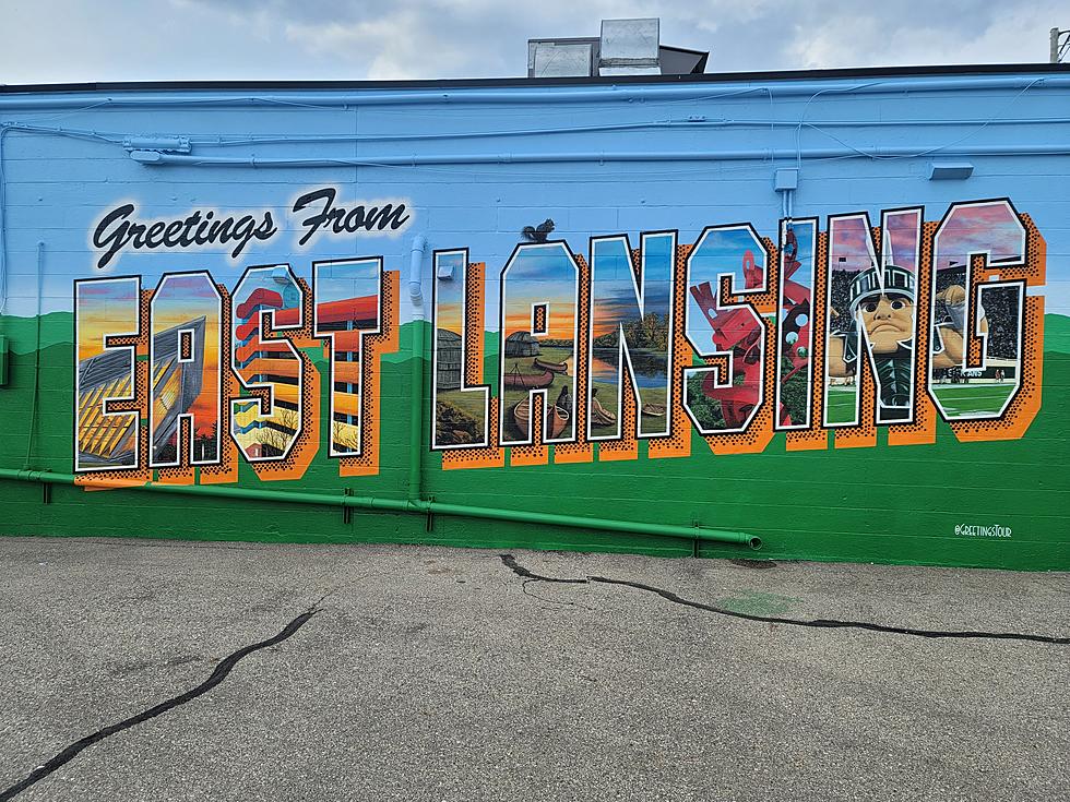 Go Take Your Selfie At The New East Lansing Mural