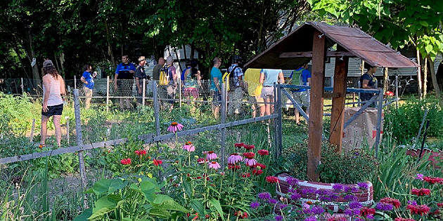 Mid-Michiganders Using Their Green Thumbs And Gardens For Good And The GLFB
