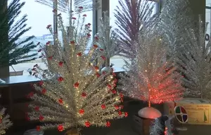 Remember Those Vintage Aluminum Christmas Trees? Here&#8217;s How Much One is Now