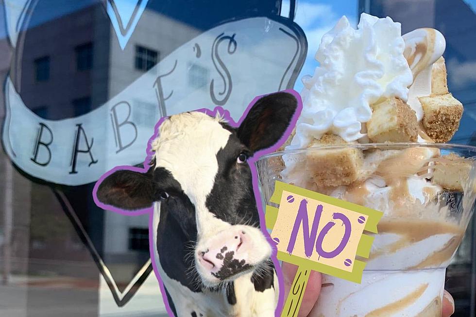 These Lansing-Area Ice Cream Shops Serve Up Sweet, Dairy-Free, Vegan Options