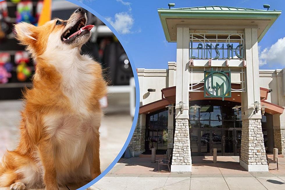 A Dog-Lover’s Dream: You Can Shop With Your Pup at the Lansing Mall