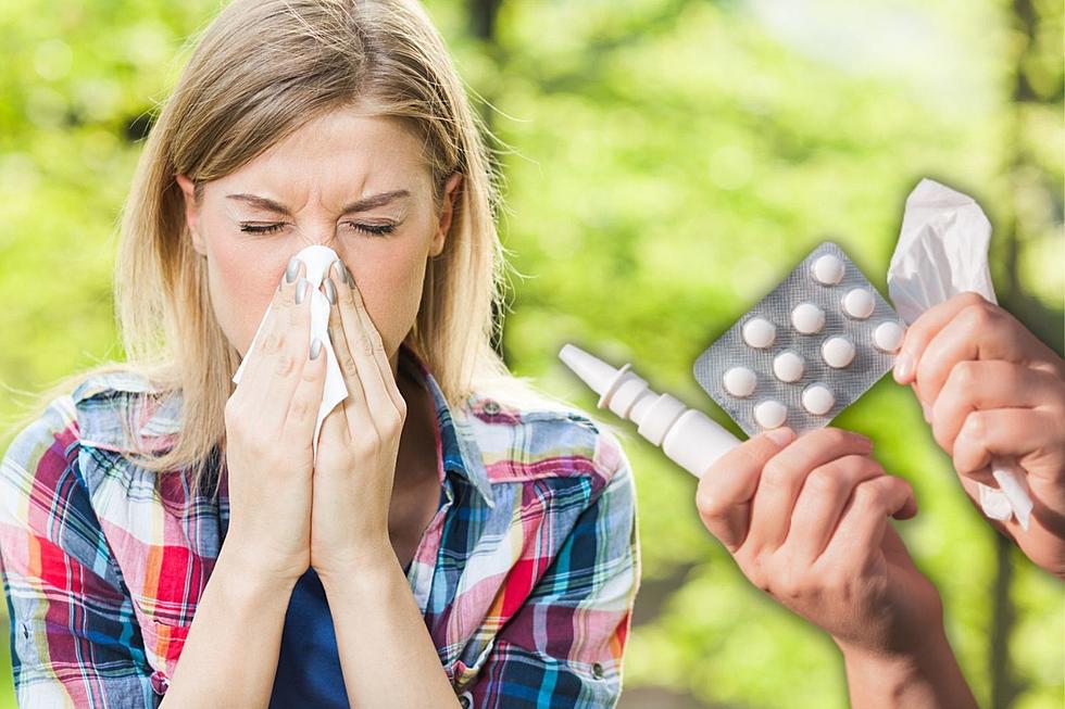 The Truth About Michigan Allergies: Now is Only the Beginning