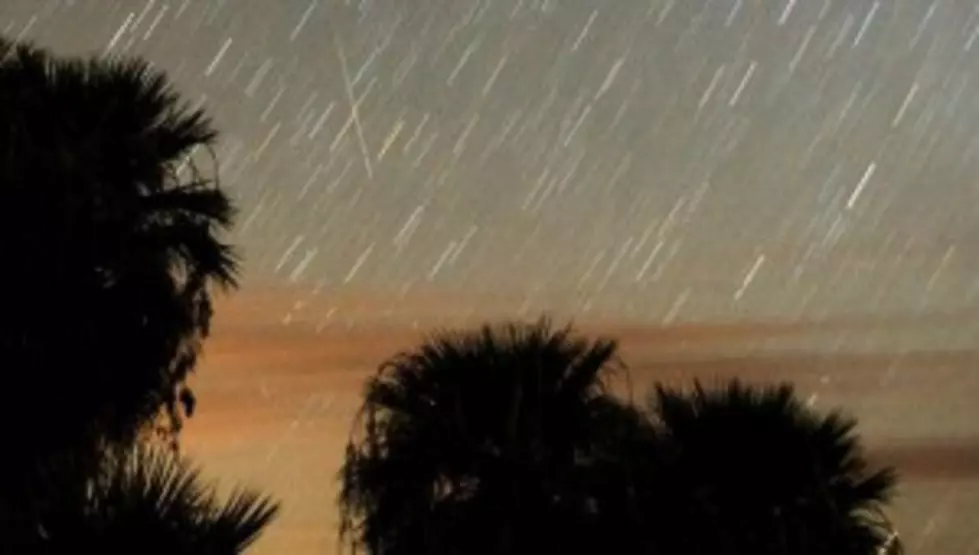 See a Meteor Shower!
