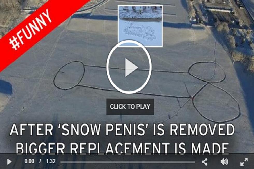 Giant Swedish Penis in Snow Makes the Paper