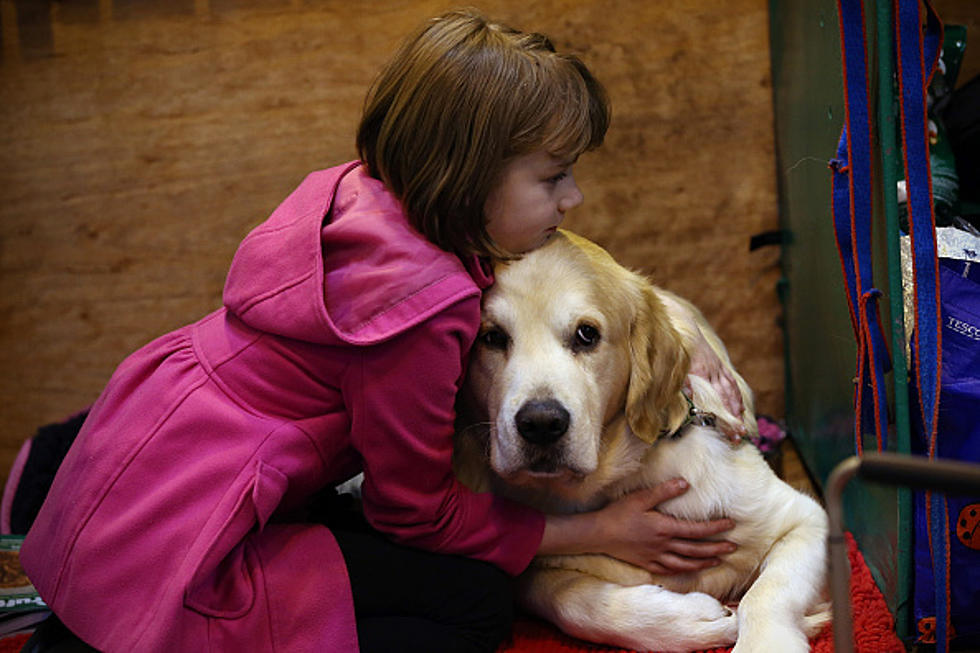Doctor of Psychology Says Hugging Your Dog Stresses Out the Pooch