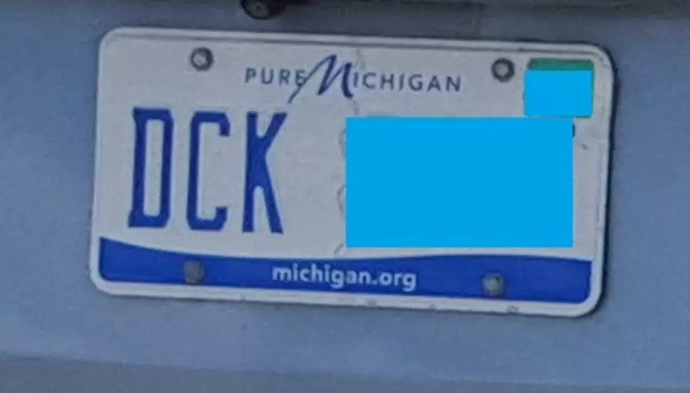 Another Dirty Michigan License Plate Found