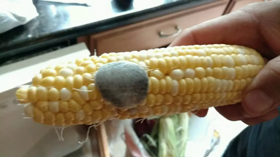 Some Call Corn Smut a Delicacy, Others Are Simply Disgusted