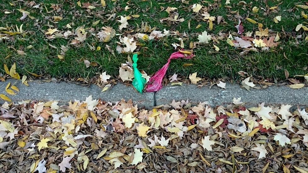 Waiting for the Dog Poo Fairy in Lansing?