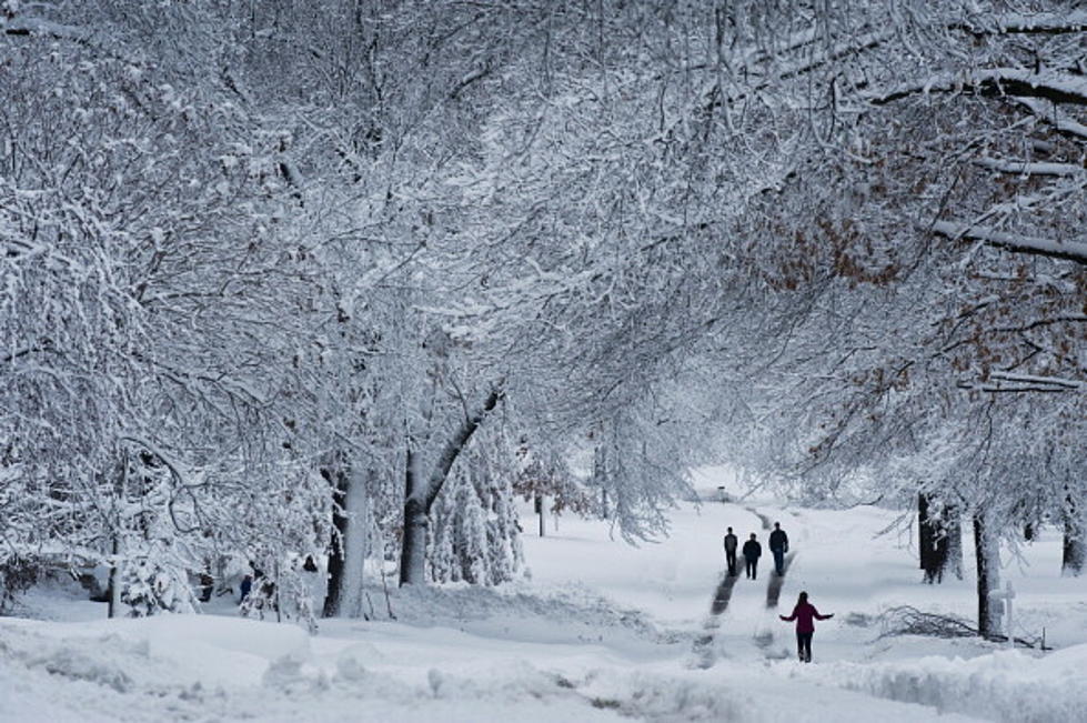 Forecasters Say Michigan Could Get a LOT of Snow This Winter