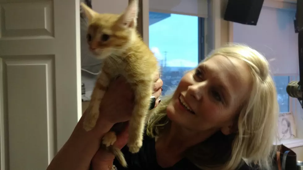 Kitty Visit to WMMQ – Spring Must Be Coming Soon!