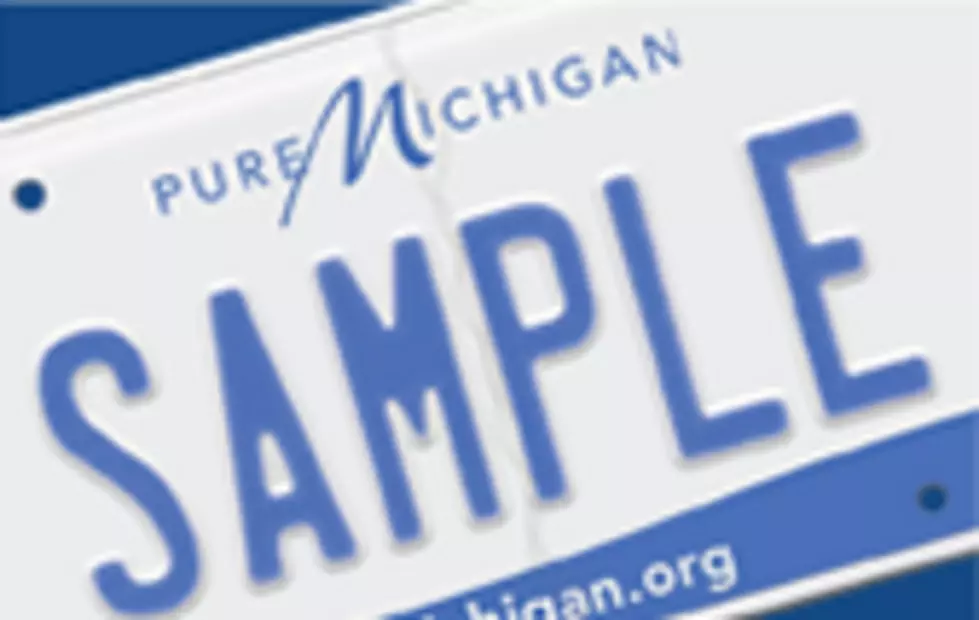 Michigan Lawmakers Approve New Laws For License Plates