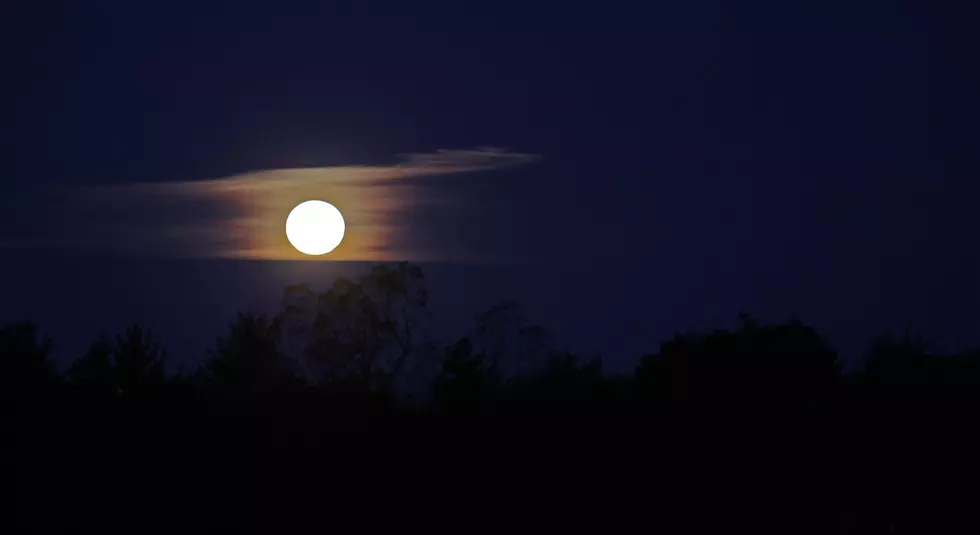 The First Full Wolf Moon of 2020 Arrives Tomorrow