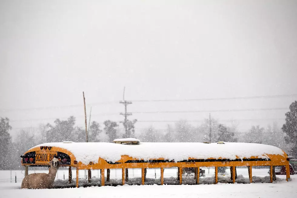 Snow Days Cause Mid-Michigan School To Cancel Mid-Winter Break