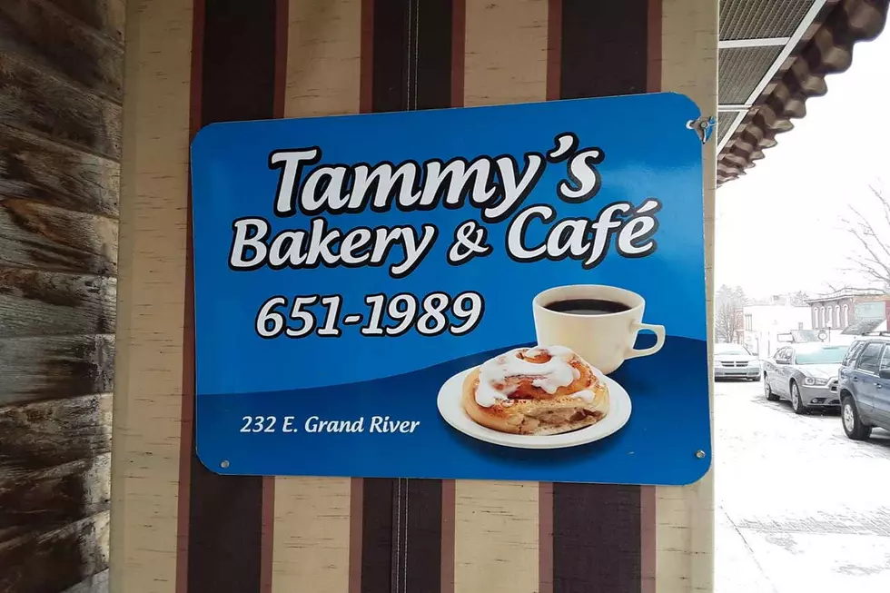 Laingsburg’s Best Kept Secret: Tammy’s Bakery and Cafe