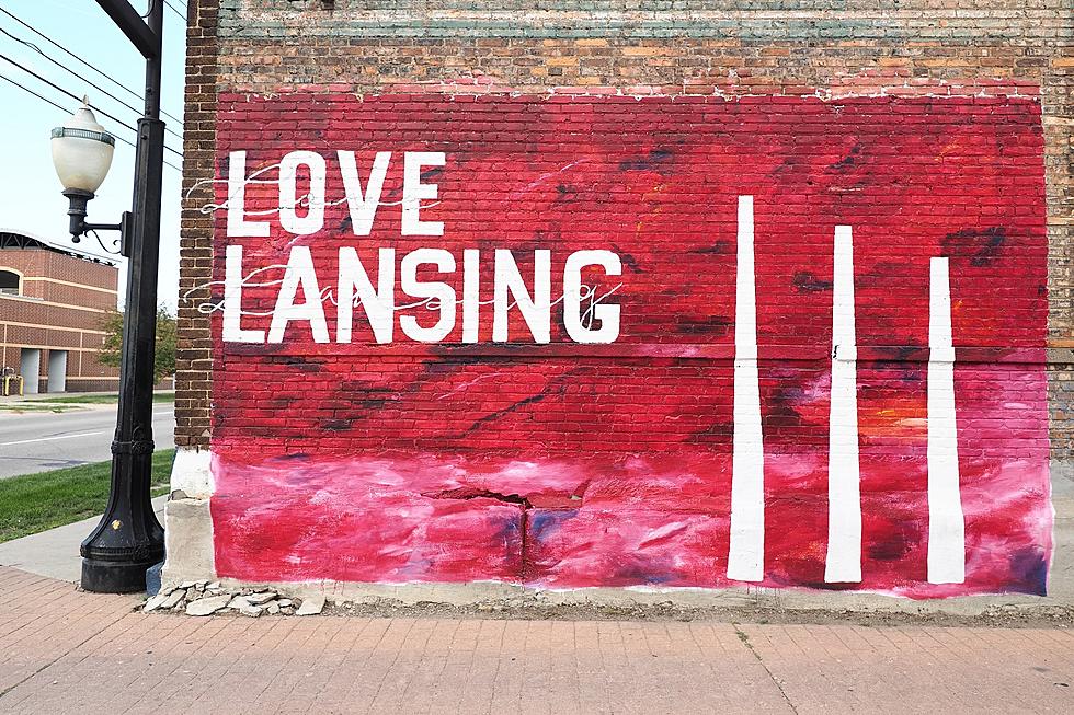 Check Out the New Murals All Over Lansing