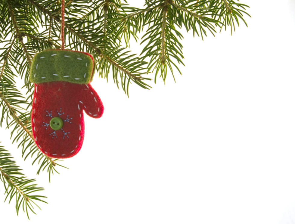 ‘Pure Michigan’ Ornaments To Add To Your Tree