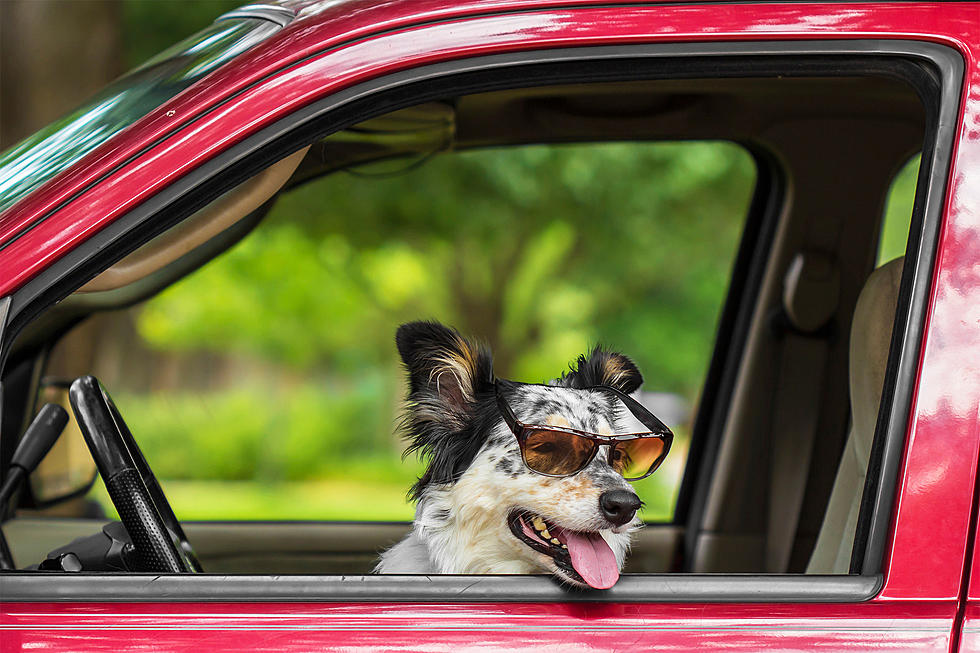 10 Things You Shouldn’t Leave In Your Car On Hot Days