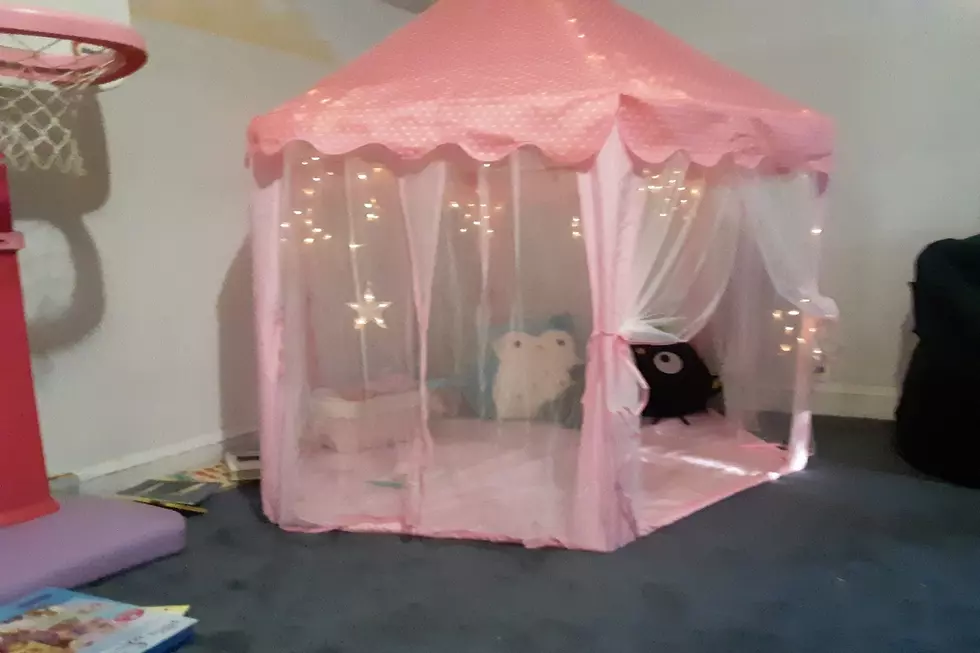 Frustrations in Assembling the Princess Tent
