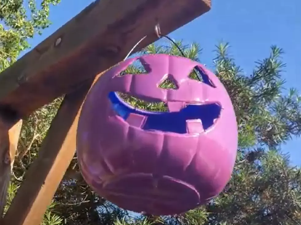 What A Purple Pumpkin Can Mean For 2020 Trick-Or-Treating