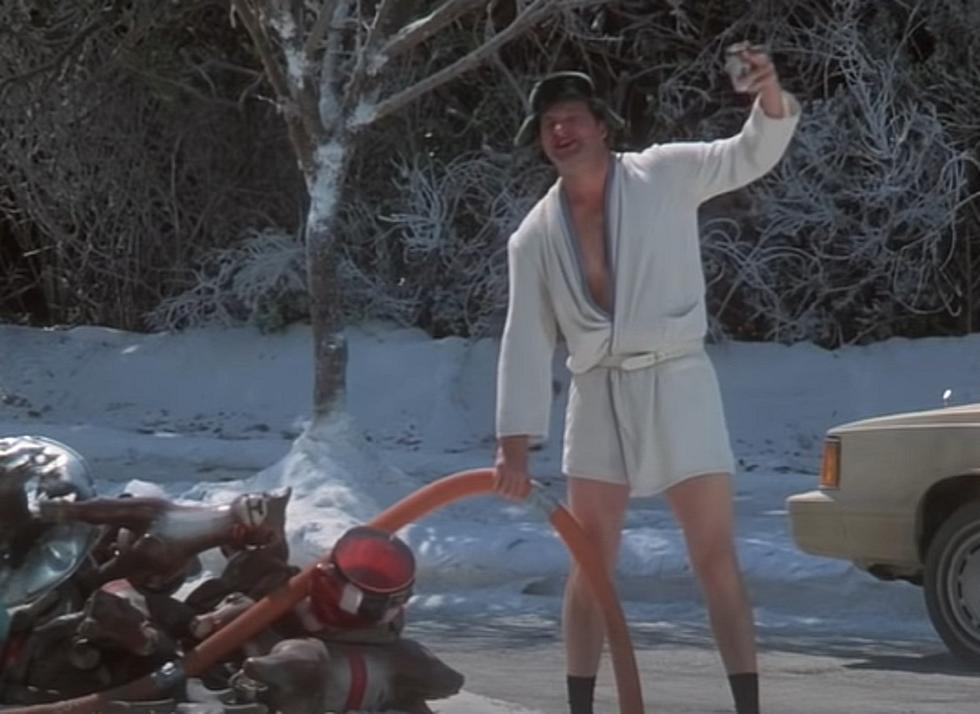 Lansing-Area Towns As “Christmas Vacation” Characters