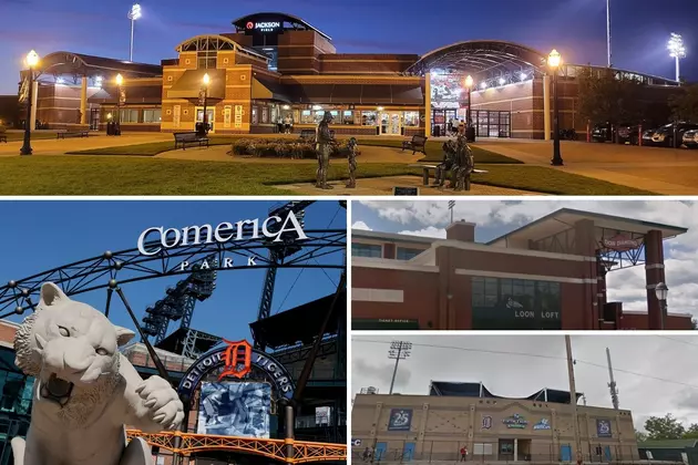Have You Been to These Notable Baseball Stadiums in Michigan?