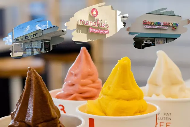 10 Outstanding Frozen Yogurt Locations You&#8217;ll Melt For in Lansing