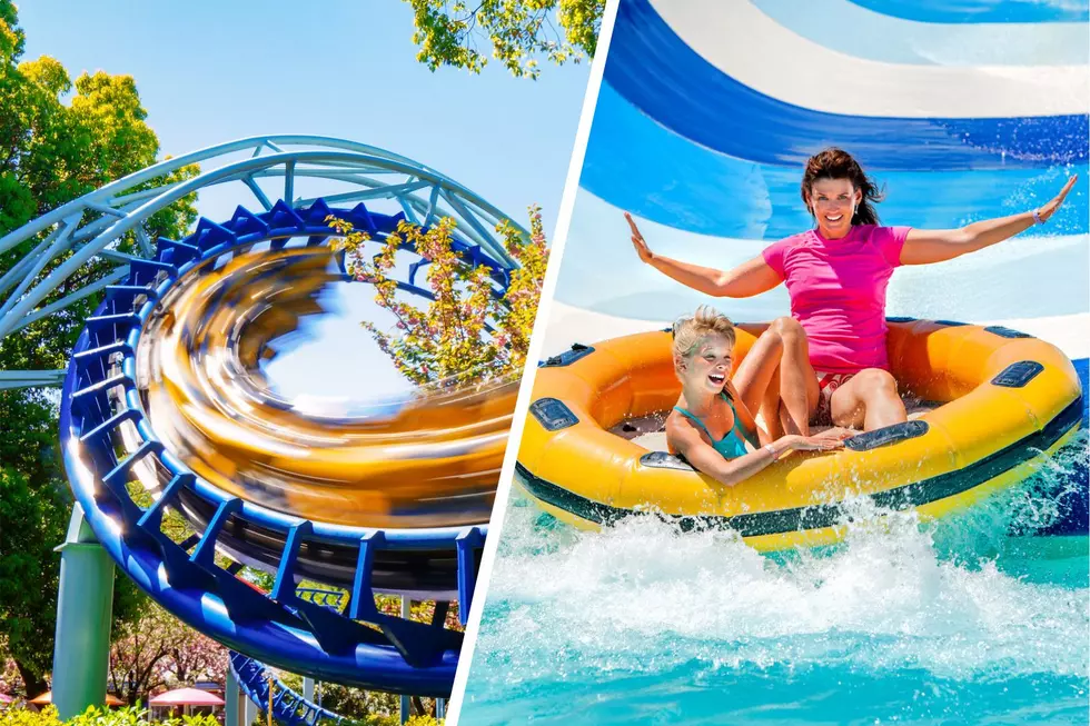 Exciting Fun at These Awesome Amusement Parks in Michigan