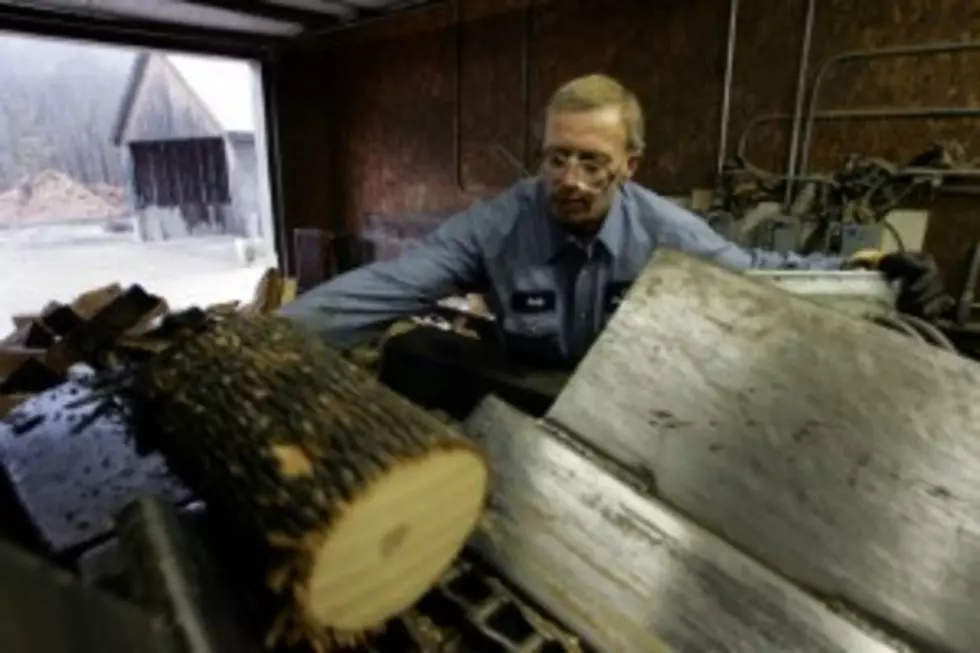 While Michigan worries about insects in our firewood &#8211; Austria looks out for&#8230;WHAT?