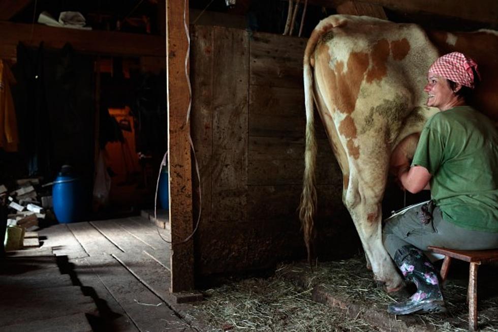 Attention Michigan Dairy Farmers – Your Russian Friends Have Great News For You