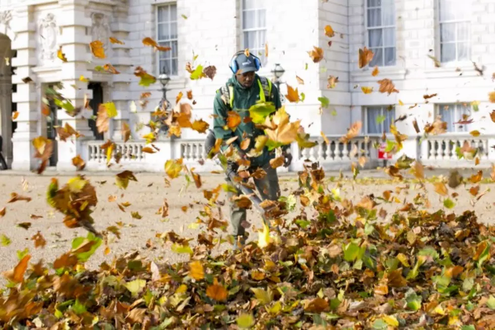 Dear Michigan Homeowners: There’s A New Way to Clear Leaves [VIDEO]