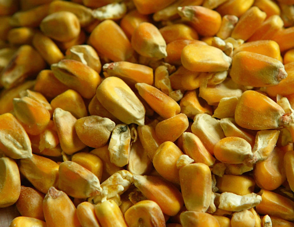 AG Report: International “Corn Spy” Finally Sentenced