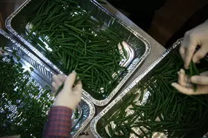 Green beans are a fruit and tomatoes are berries &#8211; discuss