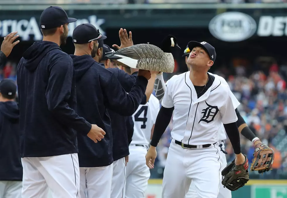 Detroit Tigers Having One-Day Flash Sale On Tickets