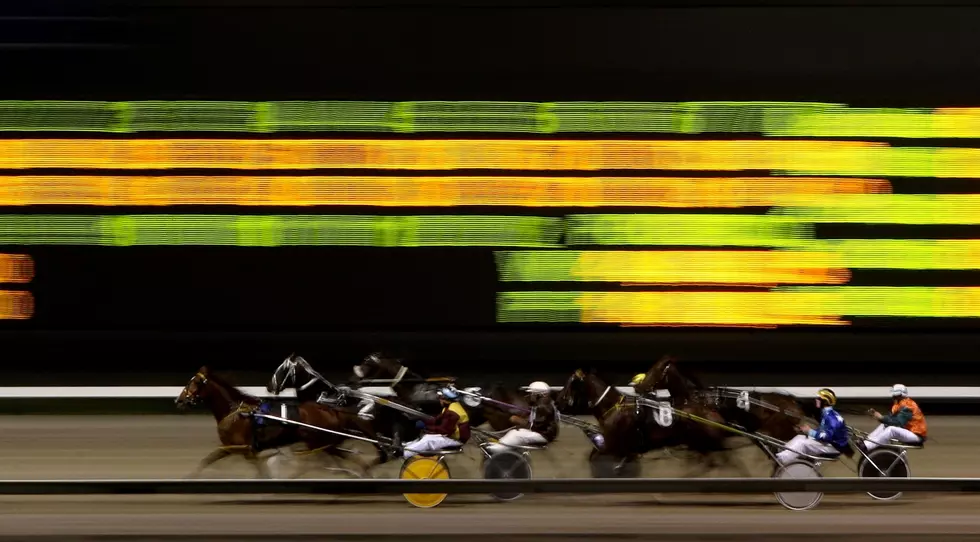 This Weekend – Last Chance to See Harness Racing in Jackson
