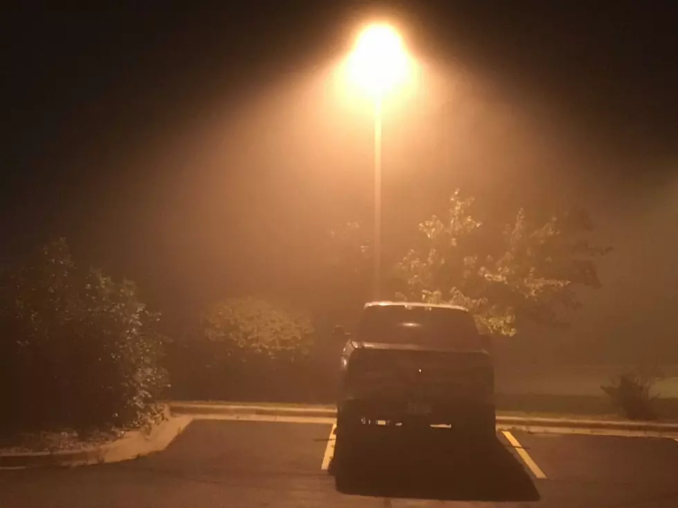 Dense Fog Advisory This Morning For The Lansing Area