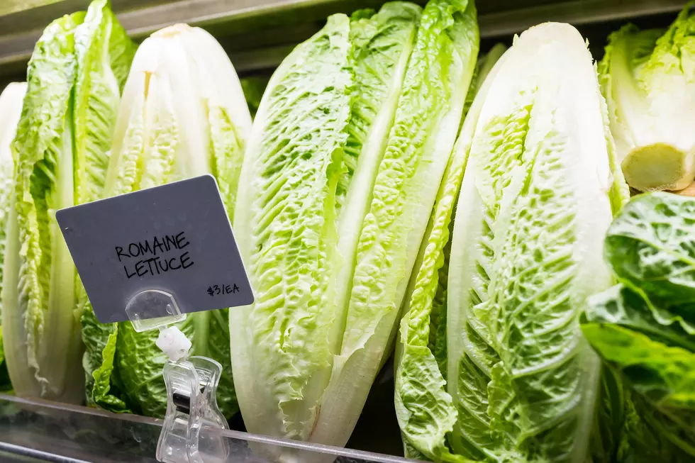 It's Safe To Eat Romaine Lettuce Again In Michigan