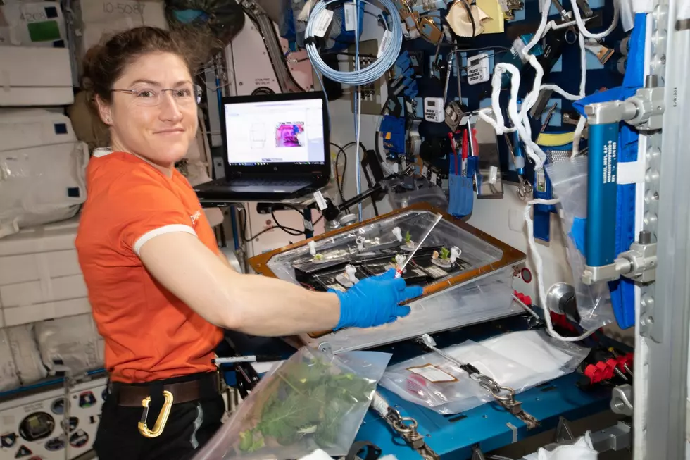 Michigan’s Own Christina Koch Captures Rare Photo From Space
