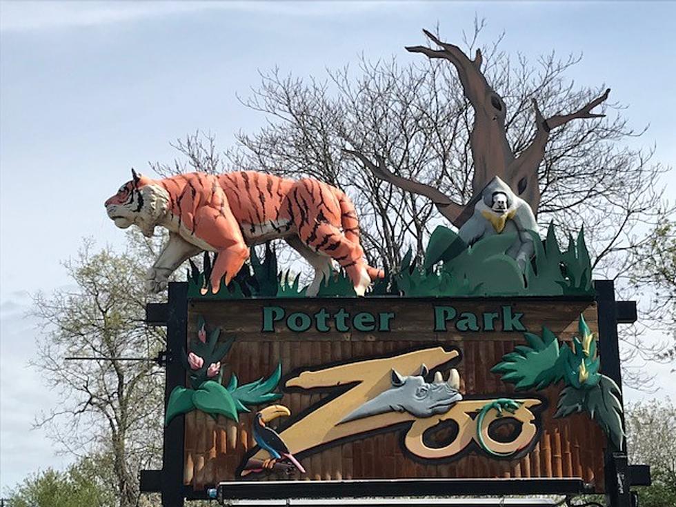 5 Things You Didn’t Know About Lansing’s Potter Park Zoo