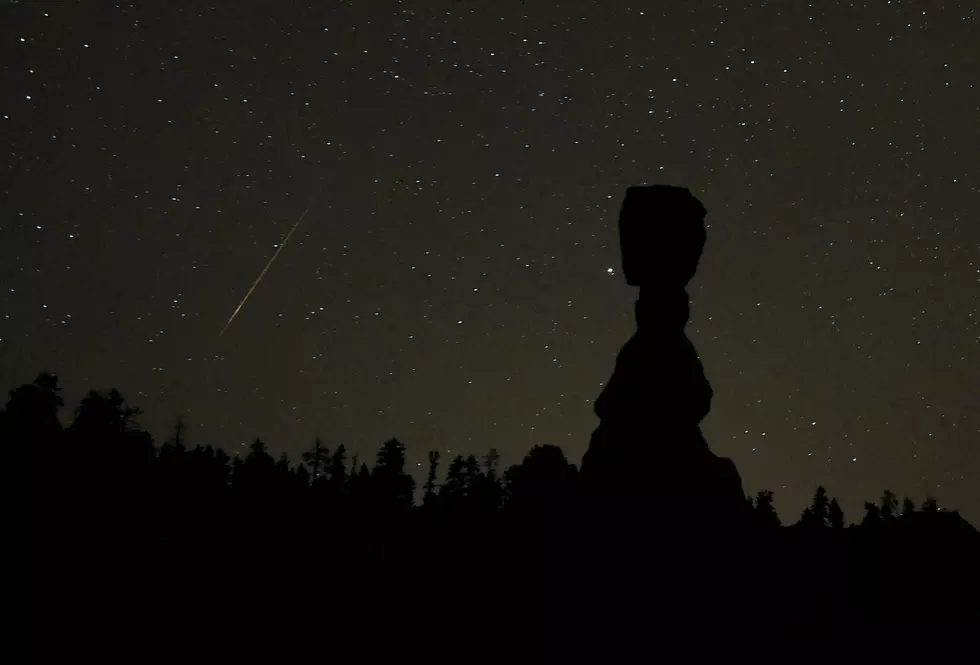 Hide From the Moon and Watch the Leonid Meteor Shower