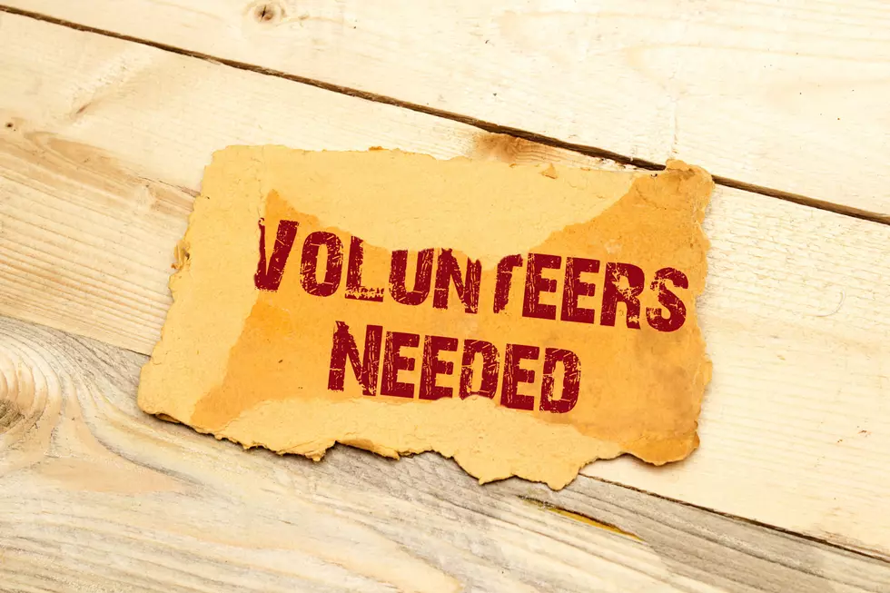 Michigan Needs Volunteers to Help Fight COVID-19