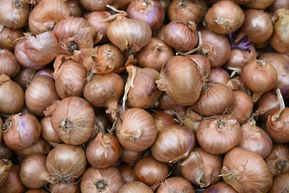 Salmonella Cases Caused By Recalled Onions In Michigan