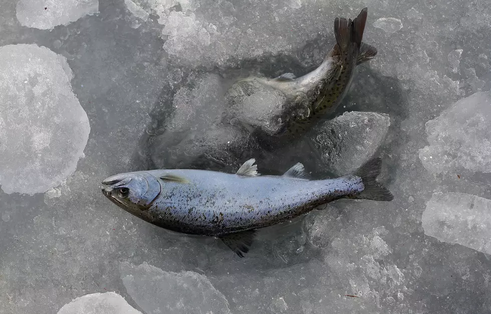 Ice Fishing This Winter in Michigan