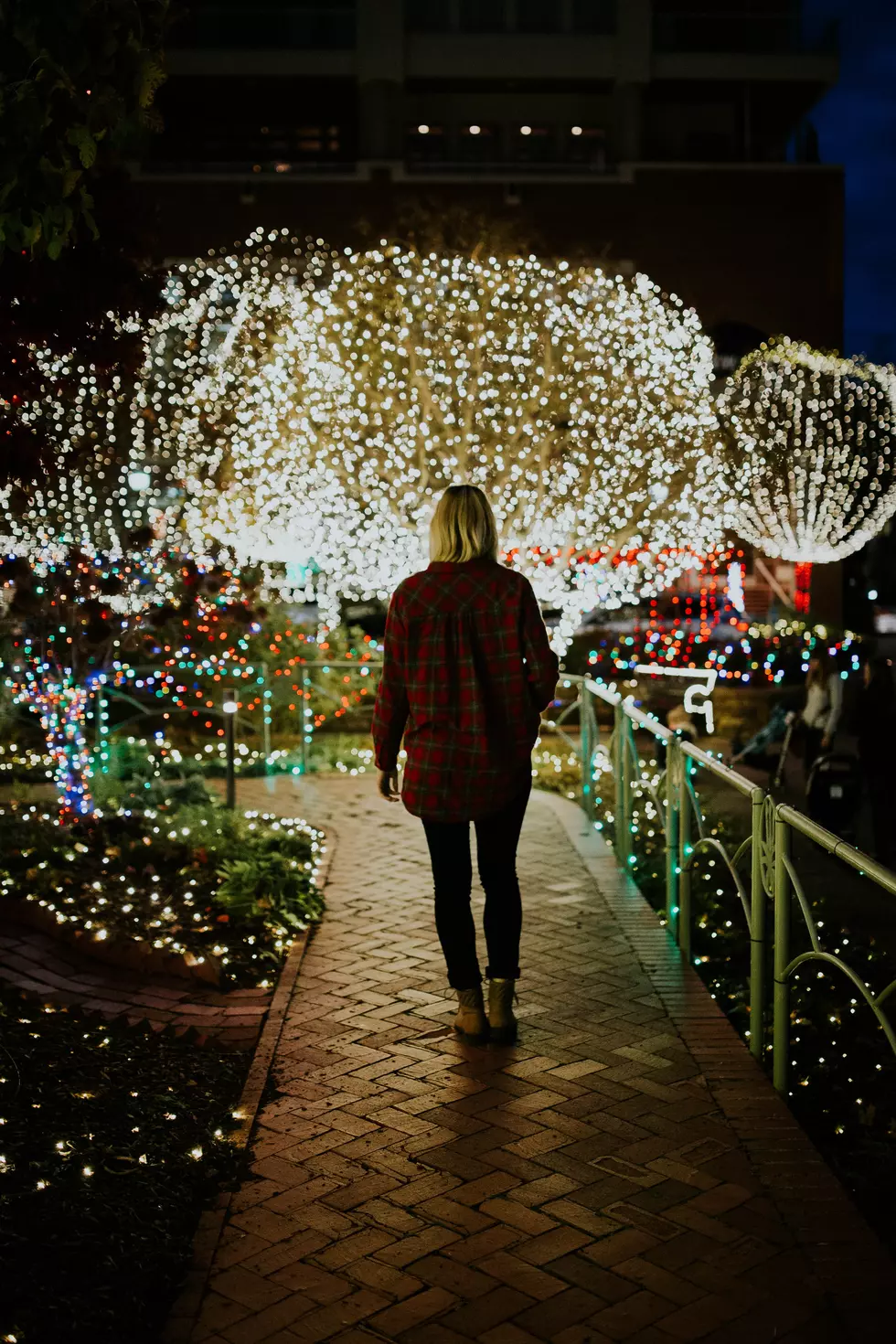 Stroll Through the Stunning Light Display at Potter Park Zoo’s Wonderland of Lights