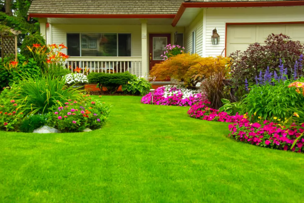 Cheap Landscaping Ideas For Your Lansing Home