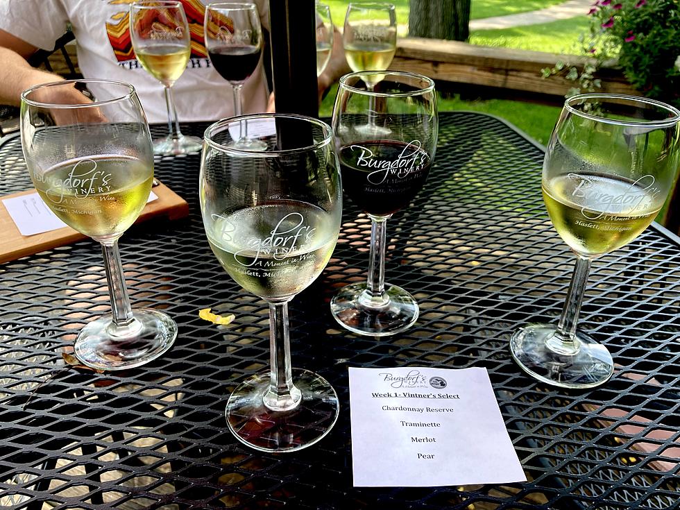 Calling All ‘Wine-O’s': Have You Been to this Winery in Haslett?