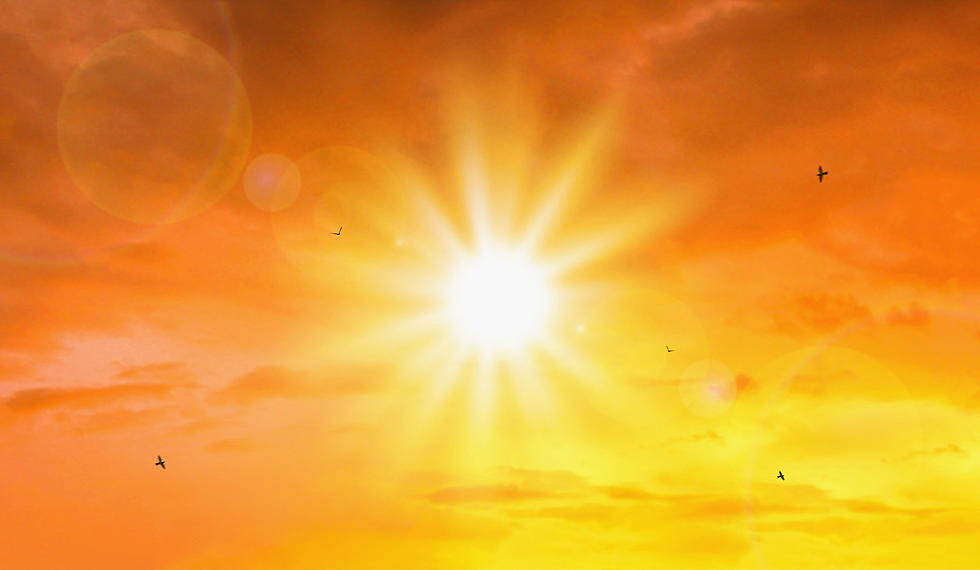 Heat Advisory in Michigan—Feels Like 100 Degrees, How To Stay Cool