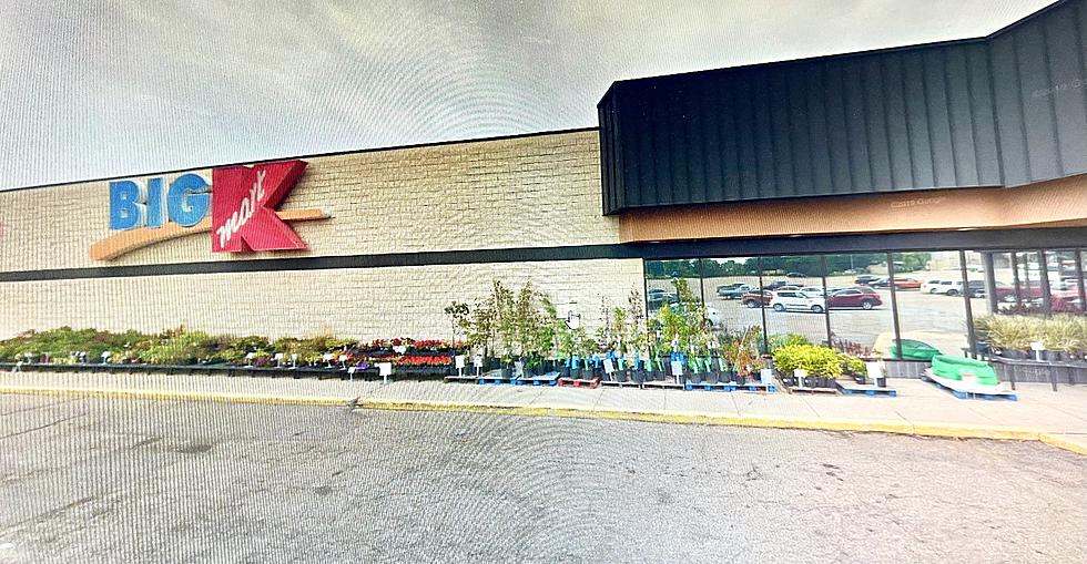 A Peek At What’s In The Future For Michigan’s Last Kmart Store