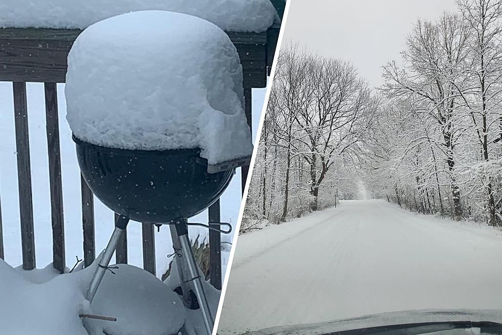 Snowmageddon 2022: See How Much Snow Michigan Got Last Week