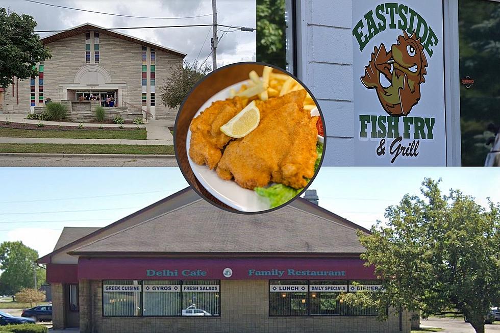 23 Lansing Area Spots With The Best Fried Fish