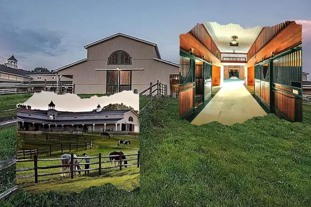Gorgeous Saline, Michigan Horse Farm is For Sale, See Inside